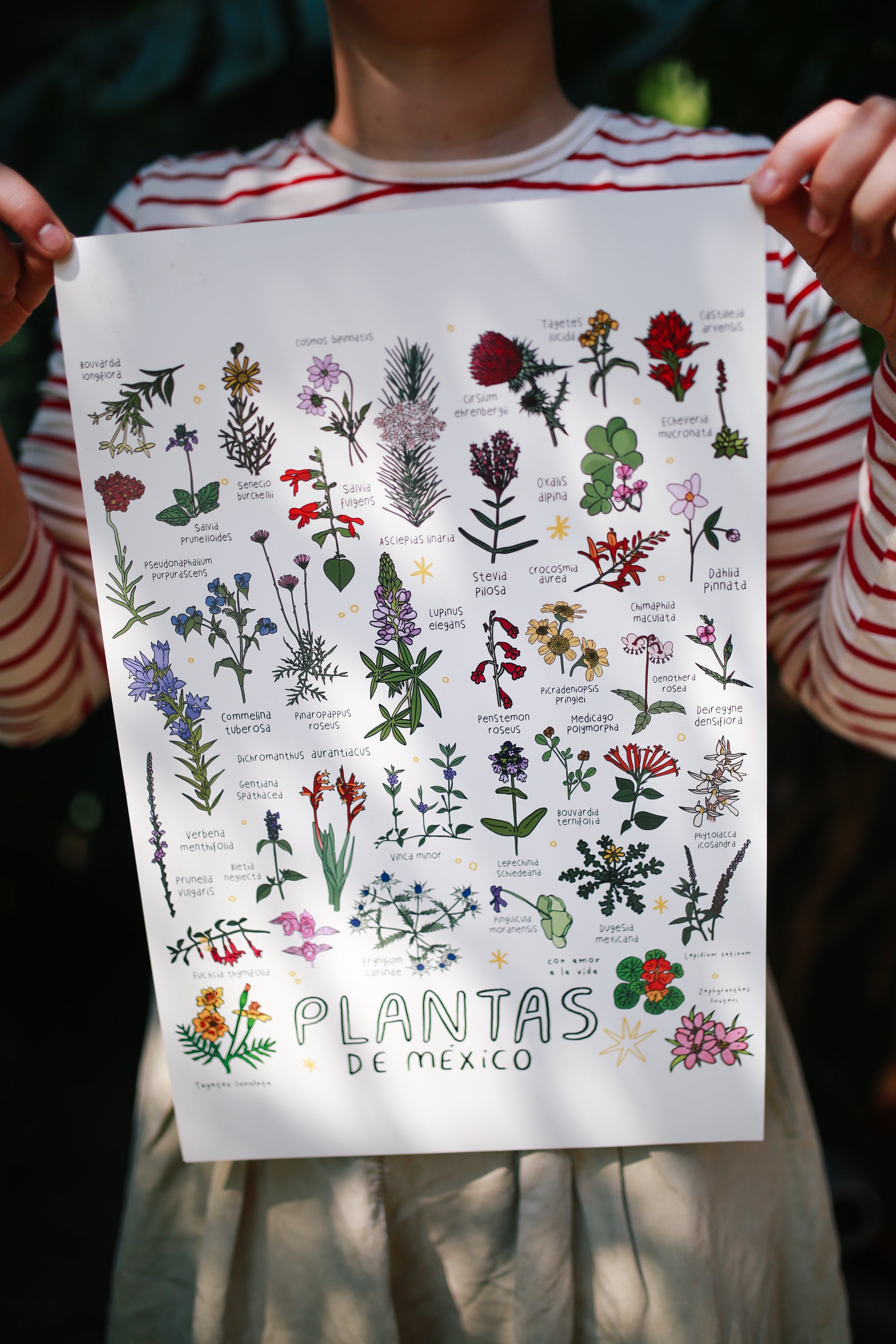 Print plantas de México