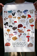 Print hongos de México