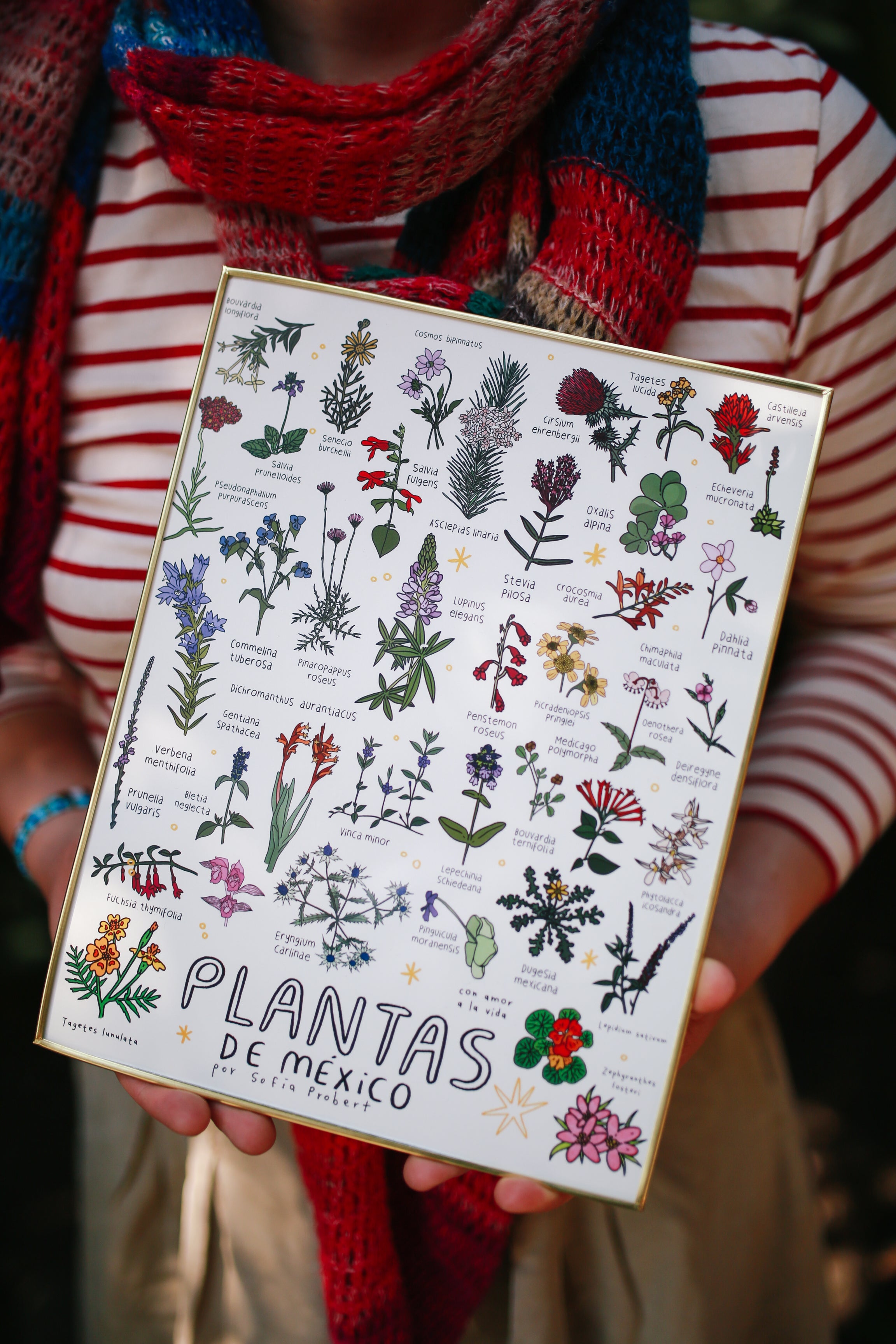Print plantas de México
