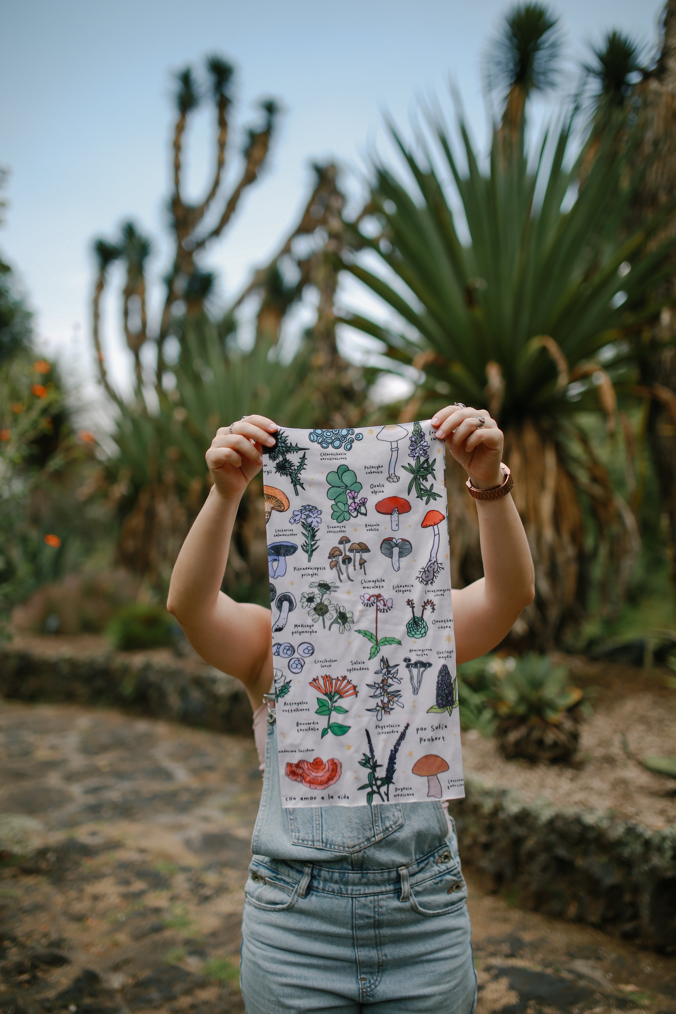 Buff hongos y plantas