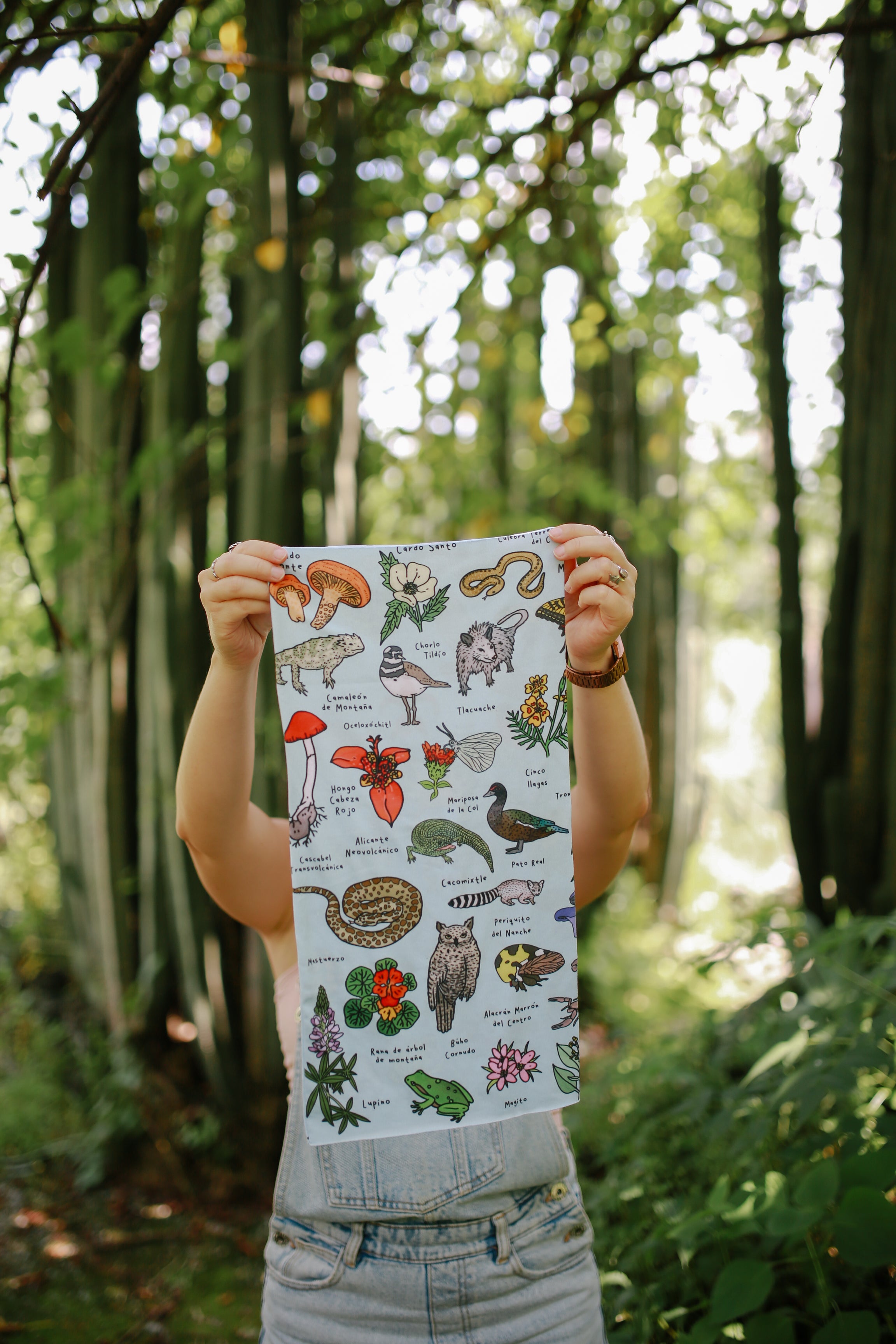 Buff animales y plantas de la CDMX