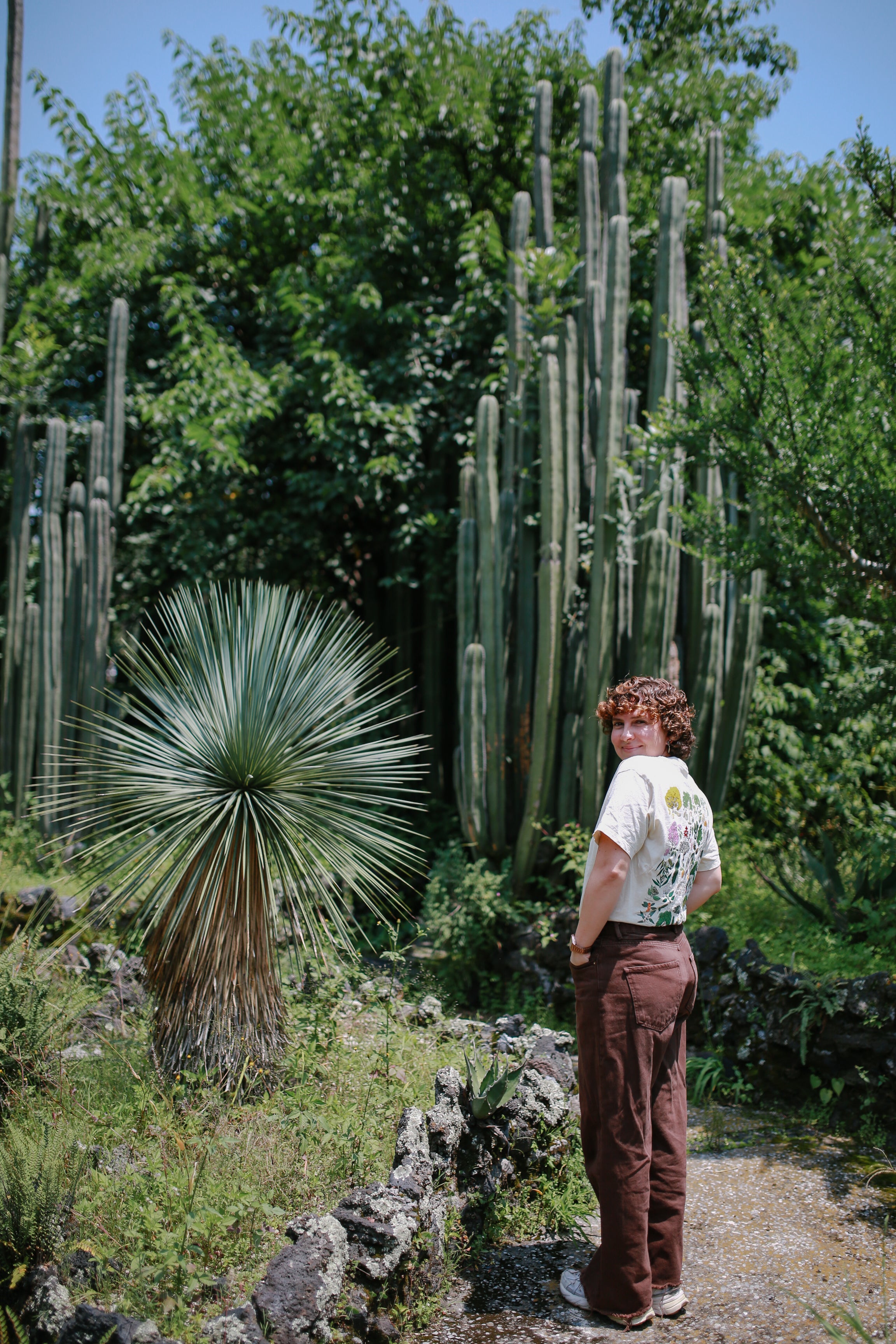 Playera árboles