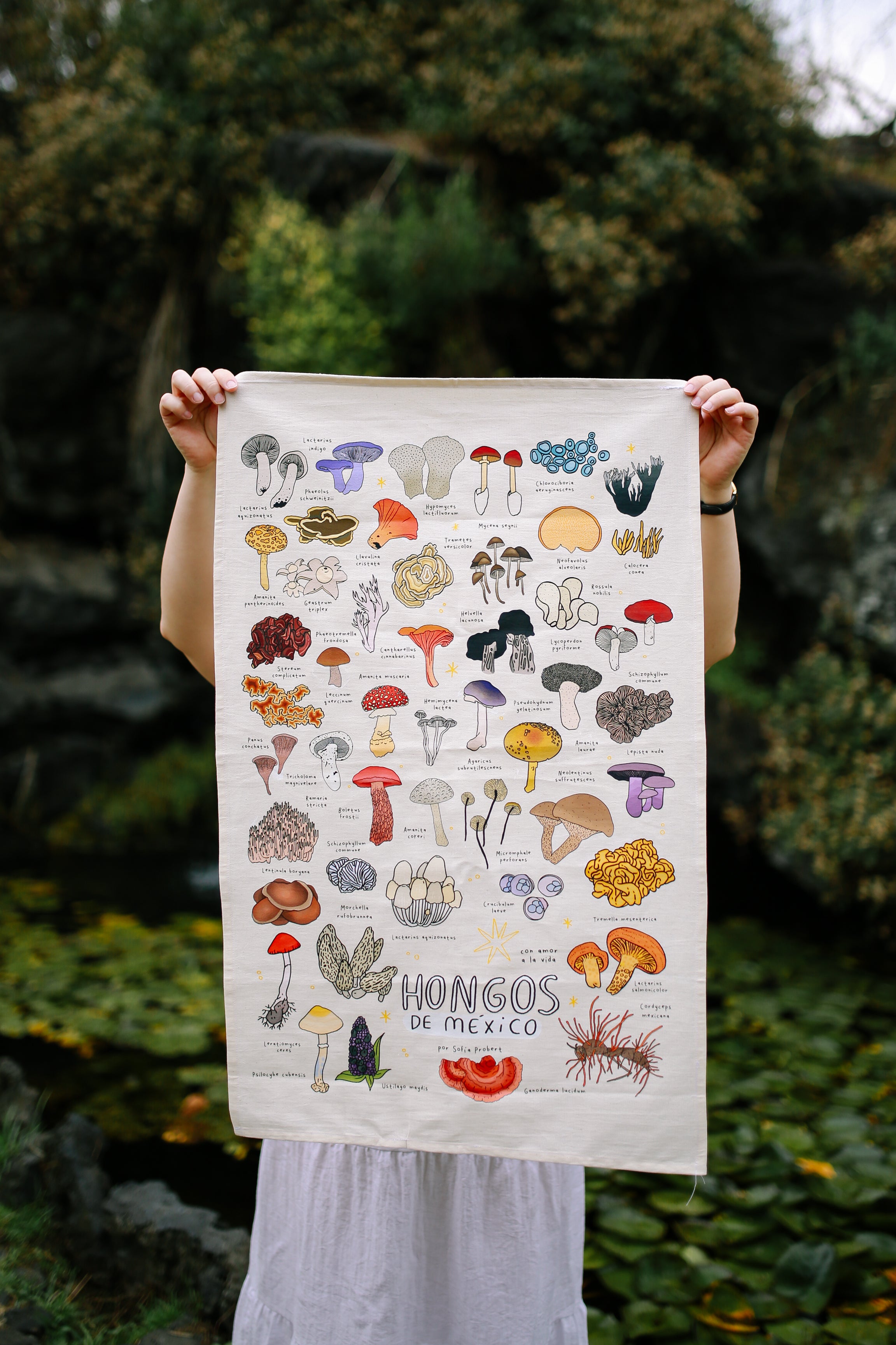 Póster textil hongos