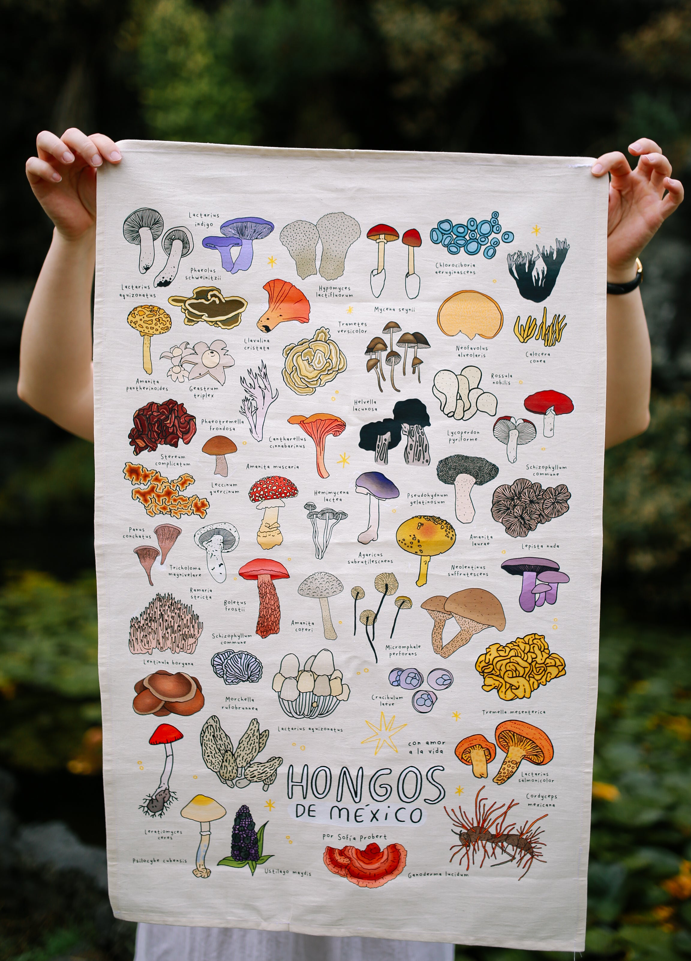 Póster textil hongos