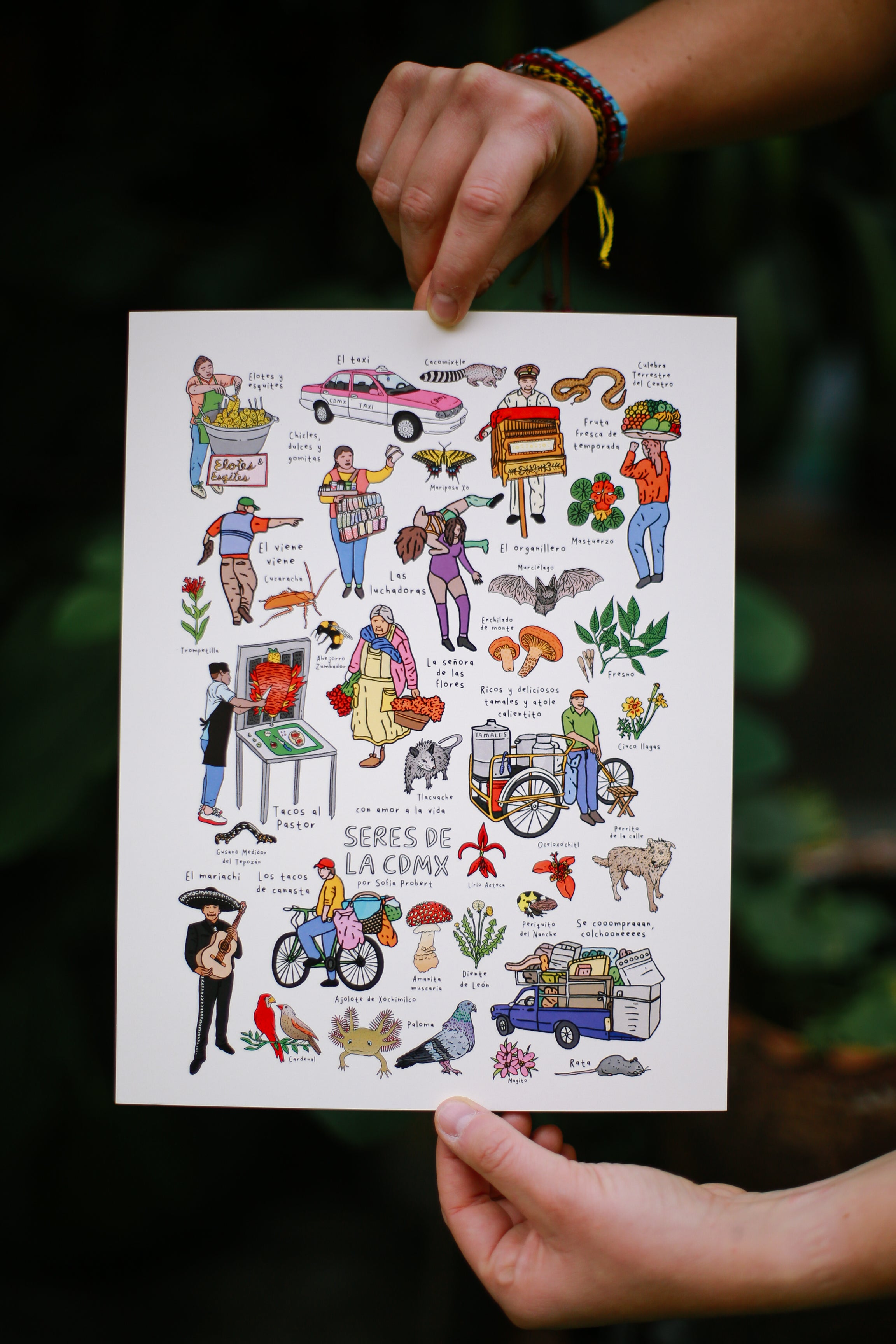 Print seres de la CDMX
