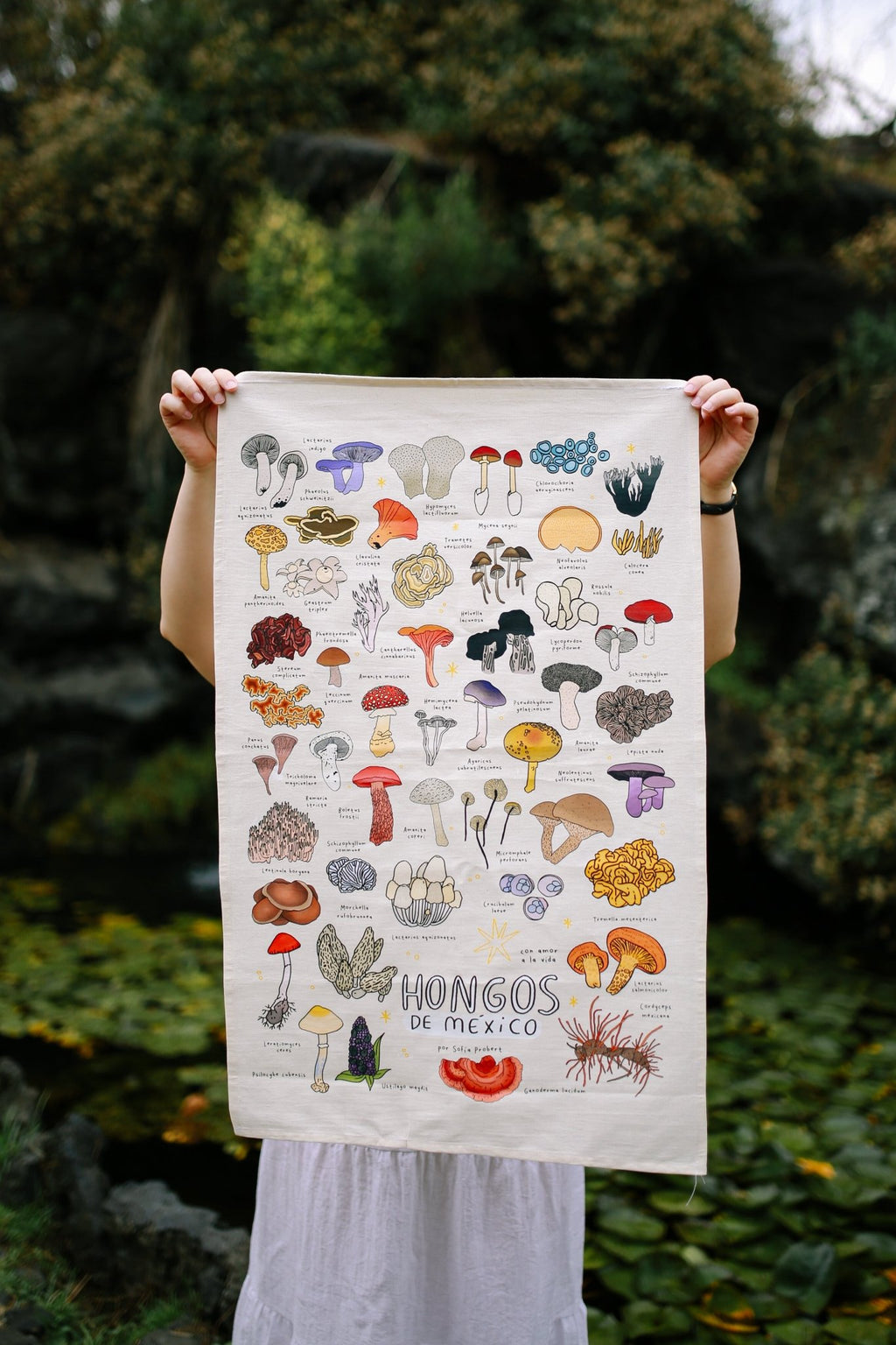 Póster textil hongos - Sofía Probert
