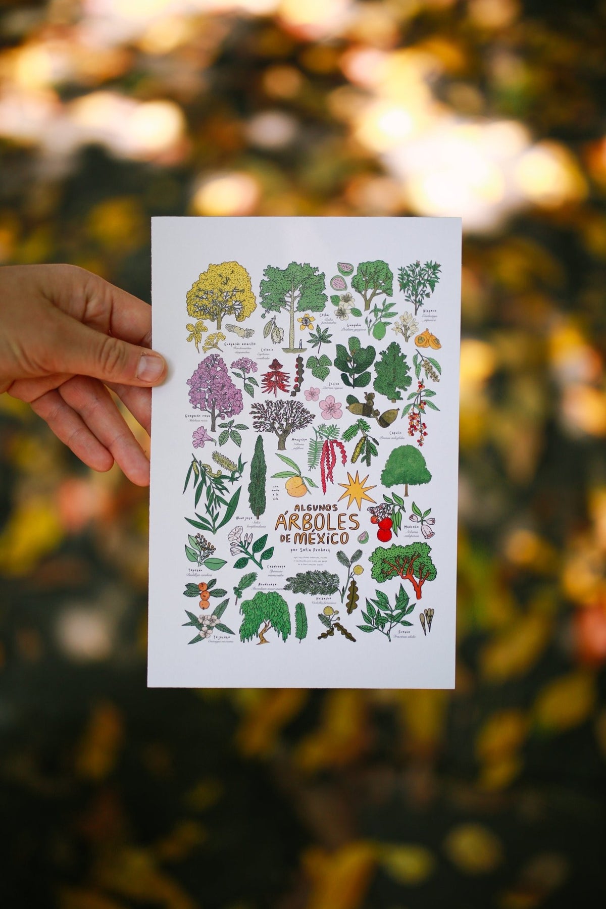 Print árboles - Sofía Probert