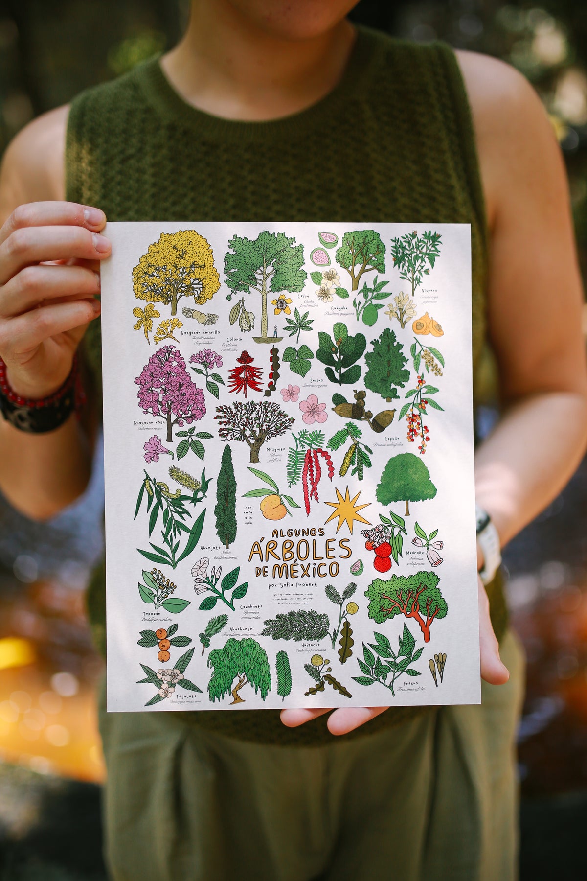 Print árboles
