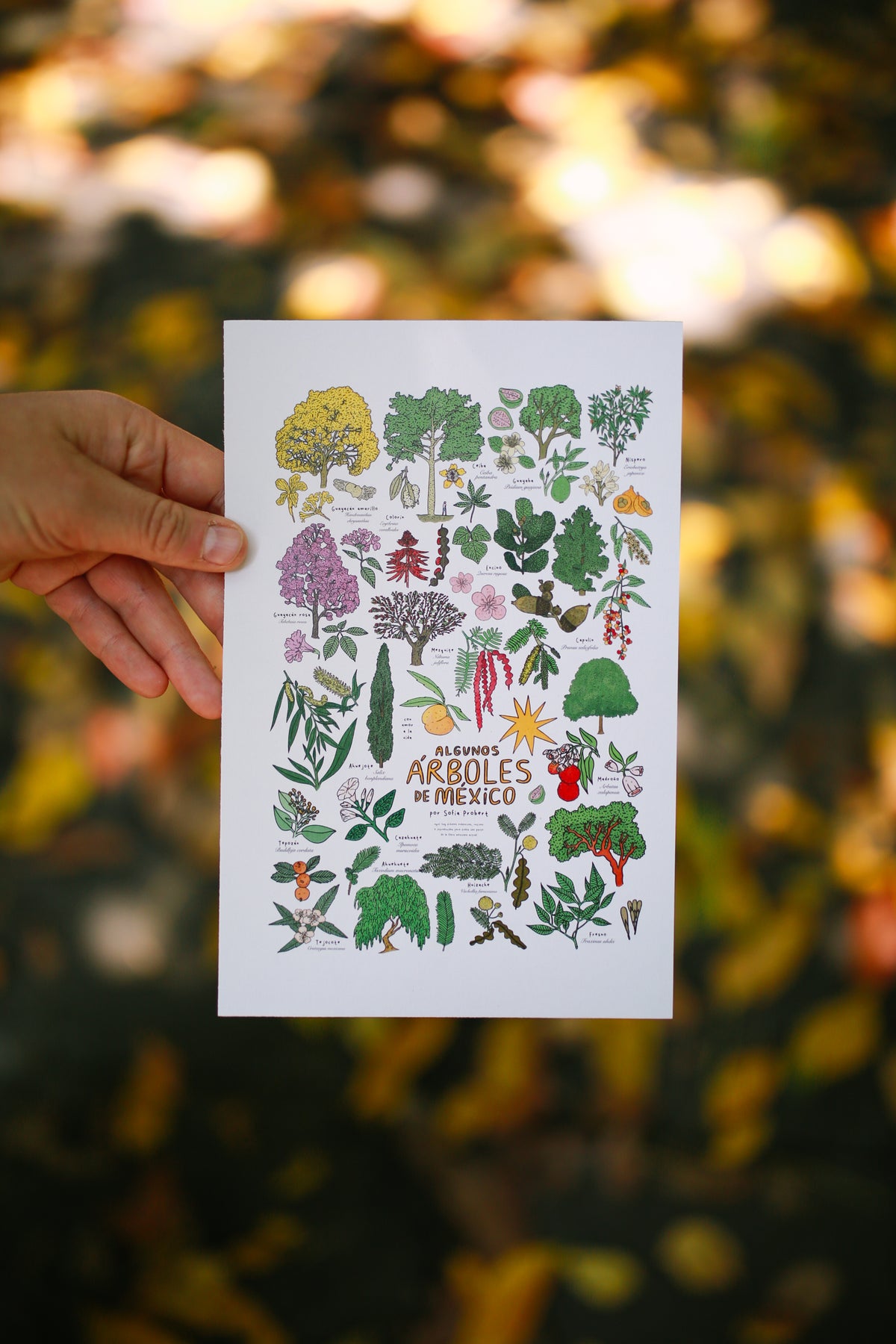 Print árboles
