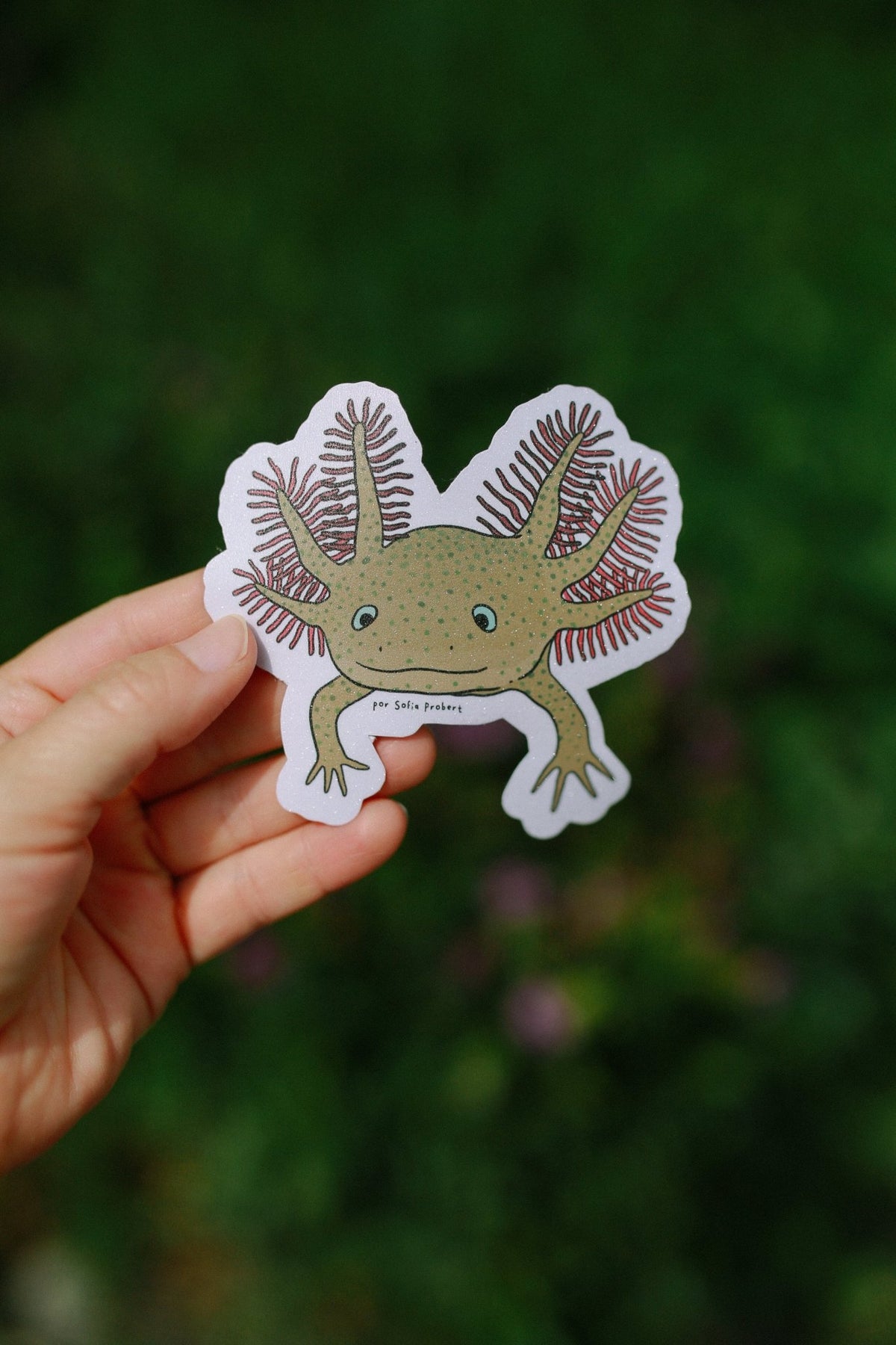 Sticker AXOLOTE - Sofía Probert