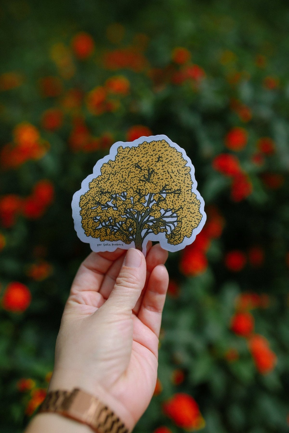 Sticker GUAYACÁN AMARILLO - Sofía Probert